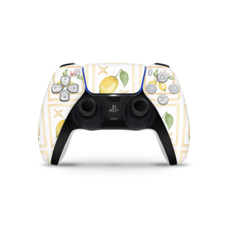 Custom PS5 Controller Decal Skin